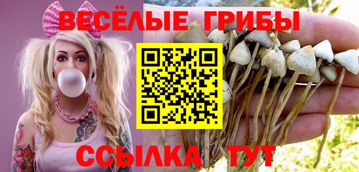Псилоцибиновые грибы Magic Shrooms Черкесск